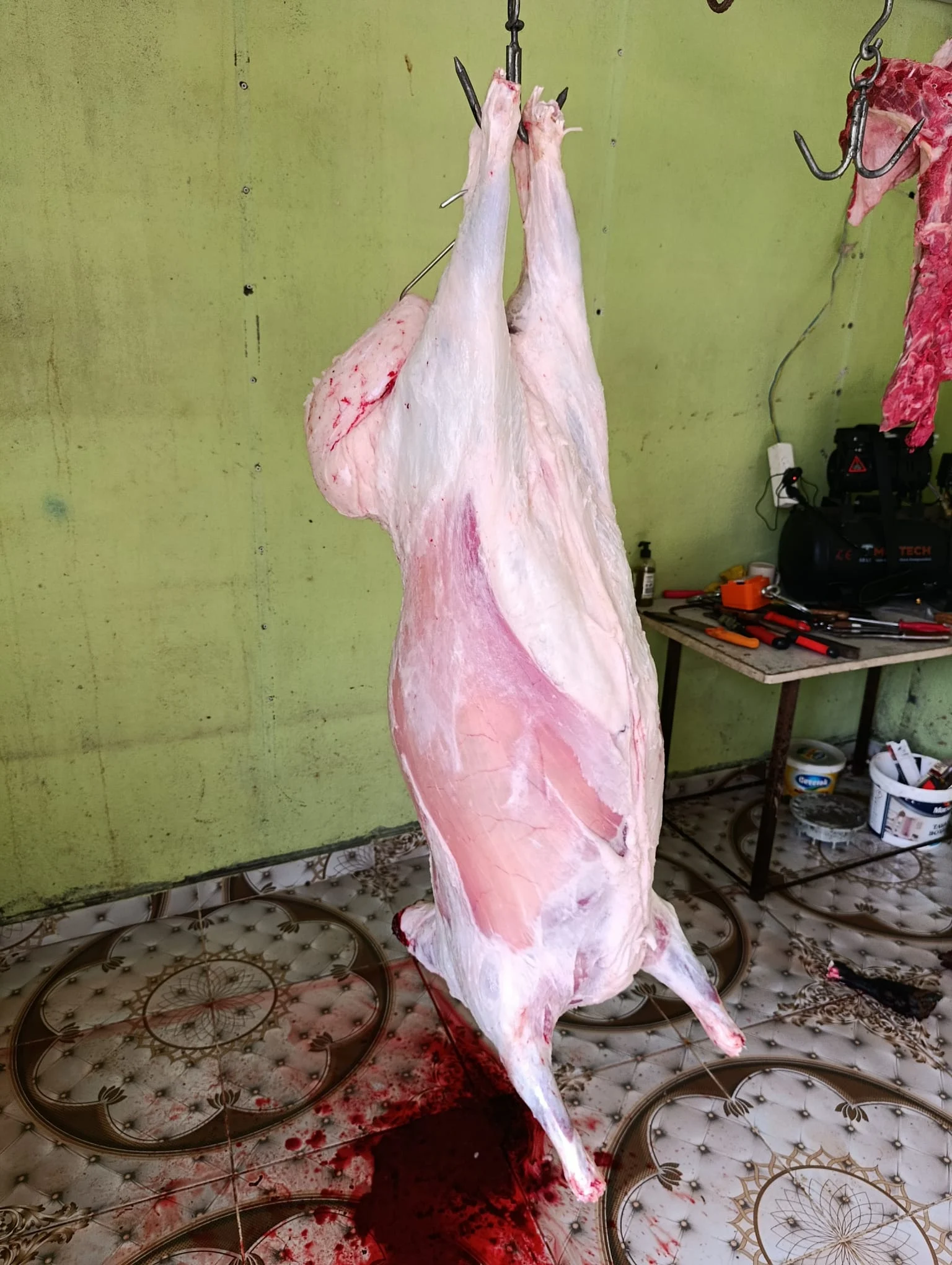 galeri_20260410_091849_d256dab44c946d2fa3e0