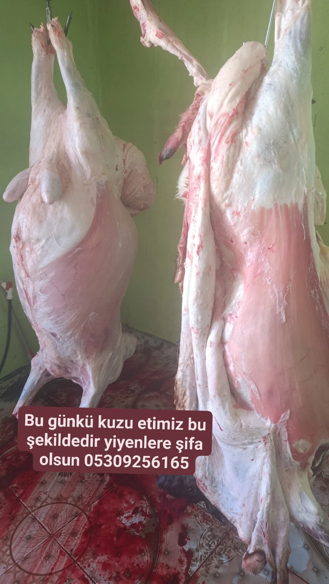 galeri_20260410_105759_6998b45c0d58c84672a4